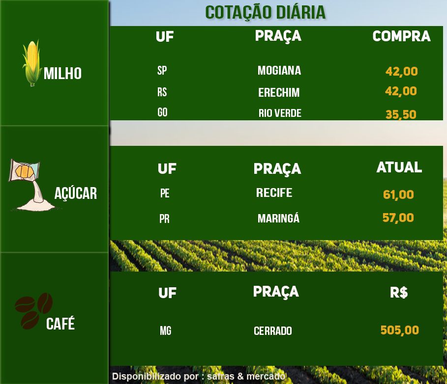 Indicadores
